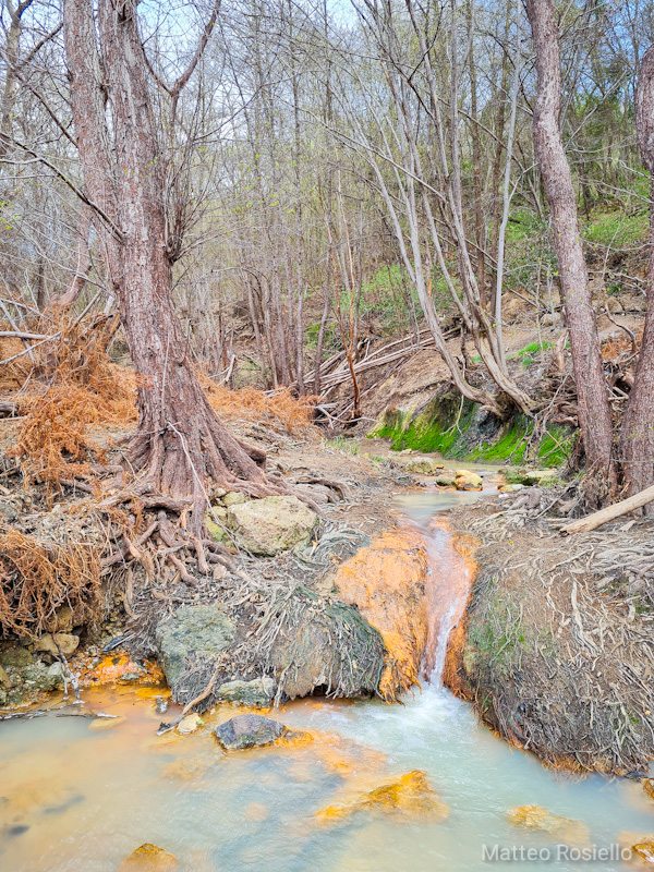 il Bicione il Bicione