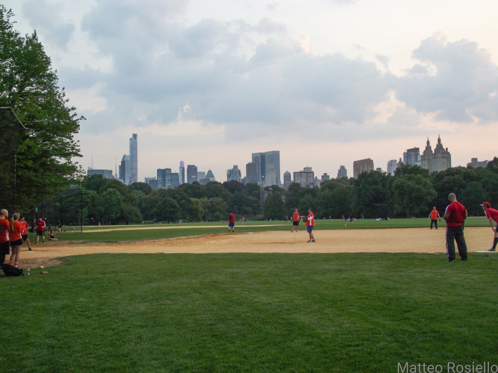 Il Central Park e dietro le torri di Midtown