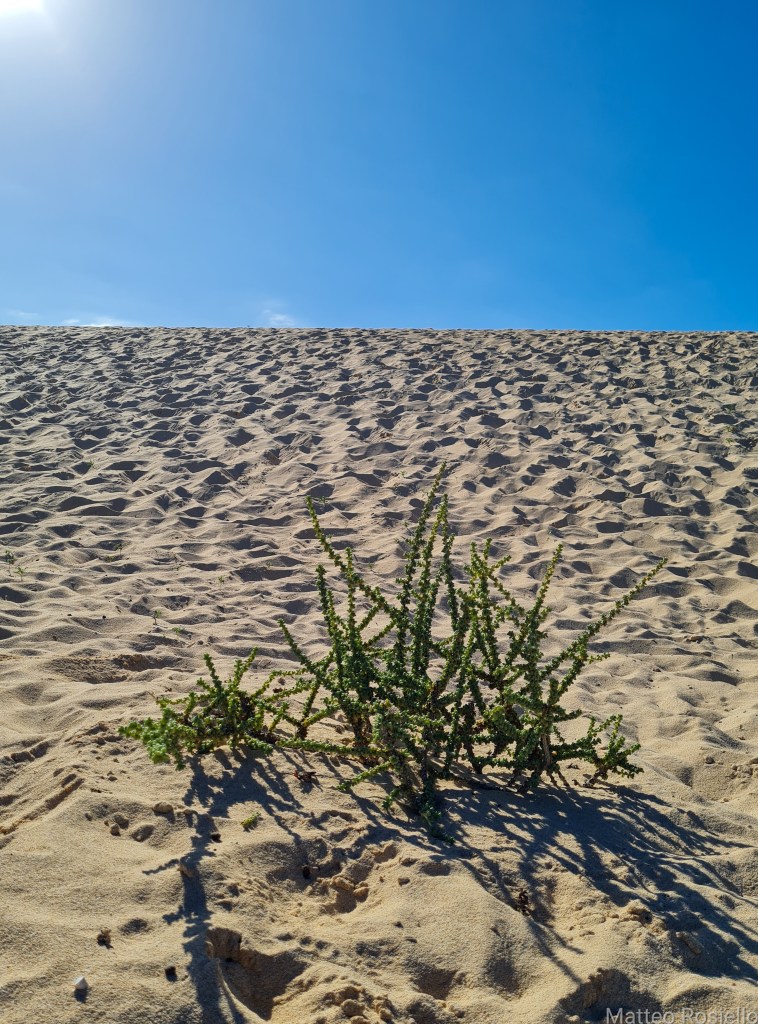 Calma, è solo una Spiaggia
