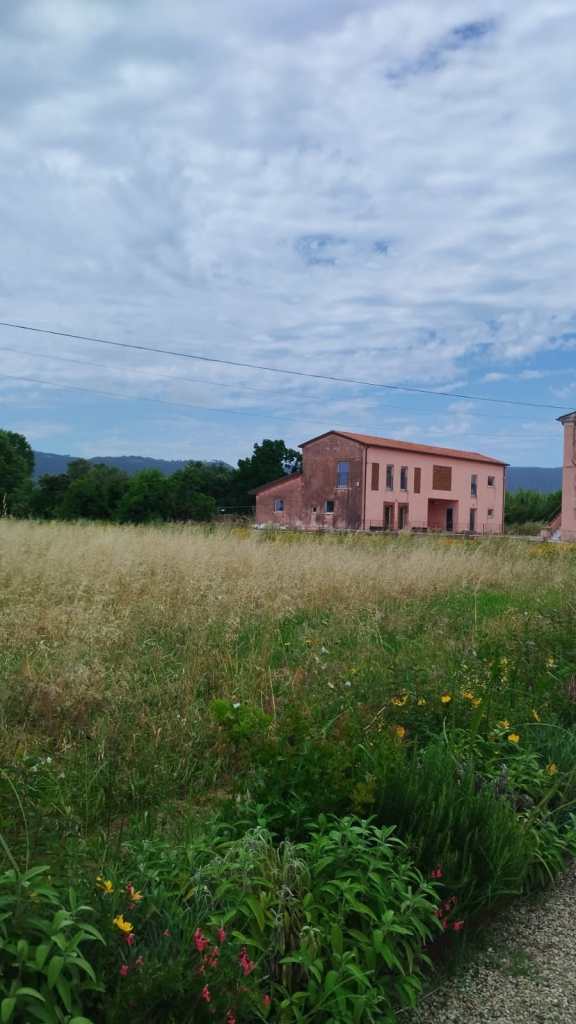 Casolari ristrutturati per il museo