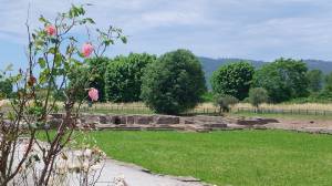 Fioritura a Luni