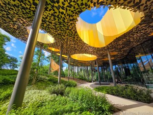 Casa della musica ungherese