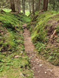 Un'anteprima di ciò che vi aspetta qui sotto